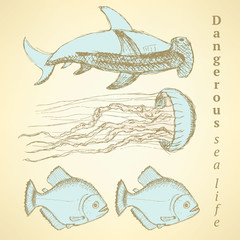 Obraz premium Sketch sea creatures in vintage style