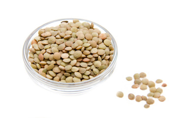 Lentils in glass bowl on white background