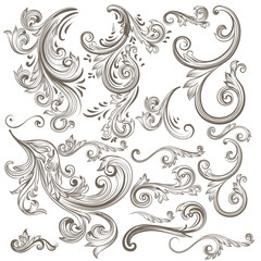 Collection of vector hand drawn floral swirls