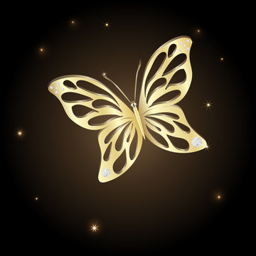 Gold Lace butterfly on brown background