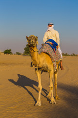 Naklejka premium Desert landscape with camel