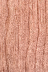 Cherry Wood Veneer Grunge Texture Sample