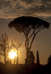 Toscana,Firenze,tramonto.