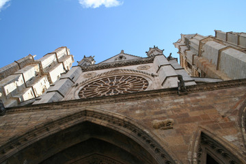 Obraz premium Roseton Catedral León