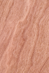 Cherry Wood Veneer Grunge Texture Sample