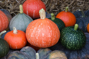 Fresh squash