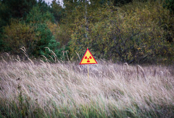 Ionizing Radiation sign next to Red Forest in Chernobyl Zone