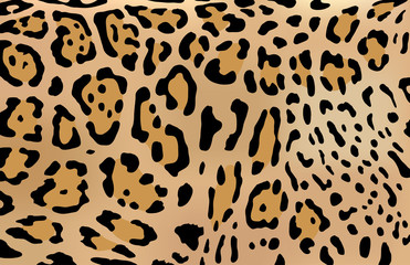 Leopard skin vector
