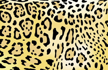 Leopard skin vector