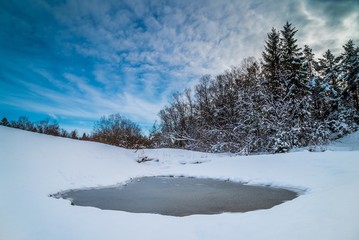 Zugefrorener Tümpel vor verschneitem Winterwald