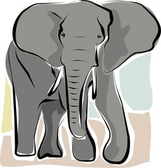 sketched elephant