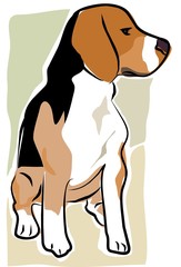 sketchy beagle