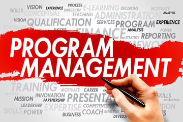 Program Management word cloud, business concept