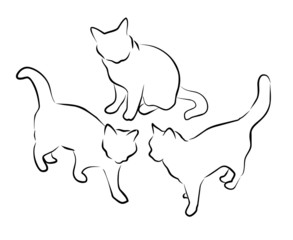 sketchy cats