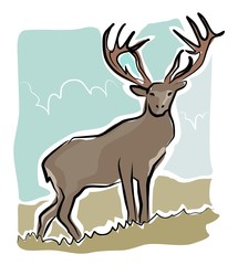 sketchy stag