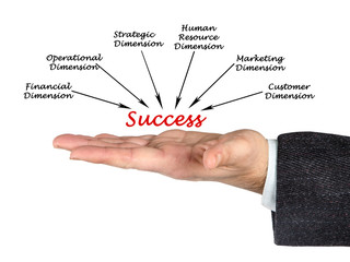 Dimensions of success