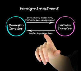Foreign Investment.