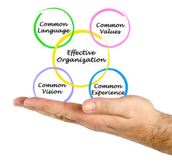 Effective Organizations