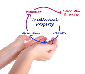 Intellectual property diagram