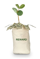 Bag with reward