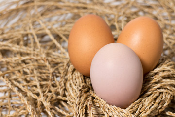 Eggs
