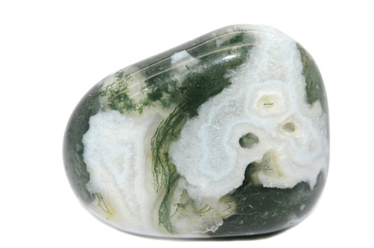 Tree Agate
