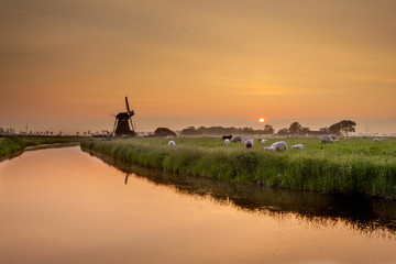 Dutch Polder Landscape during Orange Sunset