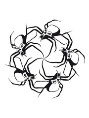 Insect spider skull ring circle