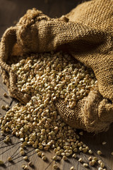 Raw Dry Organic Buckwheat