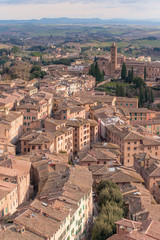 Naklejka premium Siena, torre e case della città