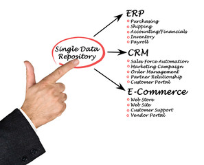 Single Data Repository