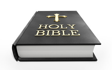 Holy Bible