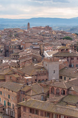 Siena, torre e case della città