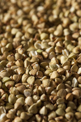 Raw Dry Organic Buckwheat