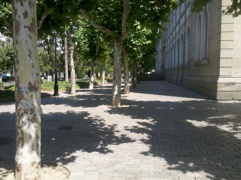 Parque