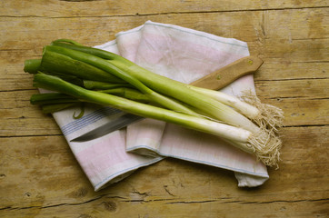 Allium fistulosum 파 (식물) Czosnek dęty Лук-батун 葱