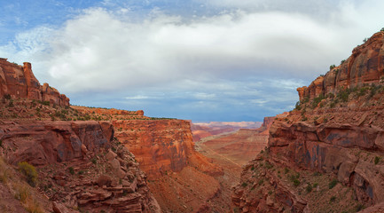 Landscape panorama of the canyon in Canyonlands national park