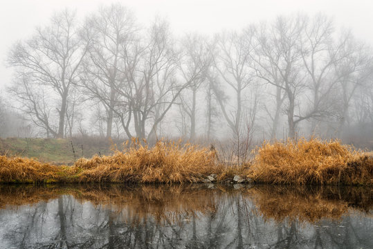Desaturated foggy autumn landscape with small lake. Beautiful reflection in a pond. Peaceful landscape.