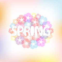 Colorful spring background with flowers.