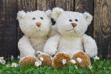 Liebespaar: zwei alte Teddybären im Sommer