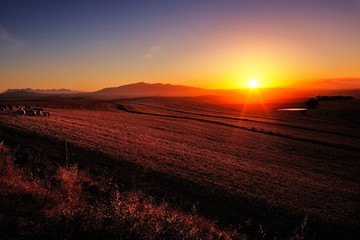 Sunrise over farmland