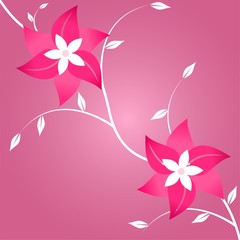 Two flowers on pink background
