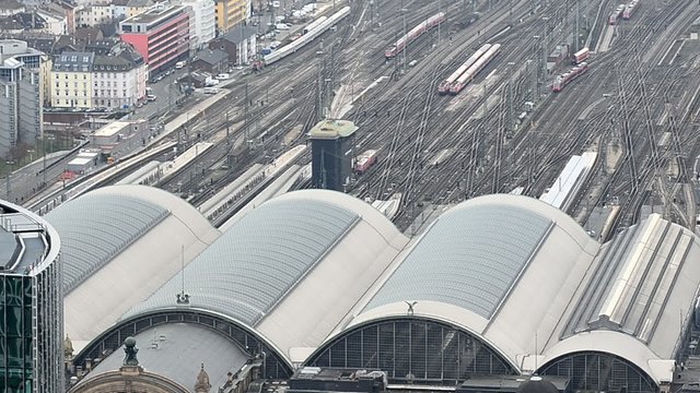 FFM 12
