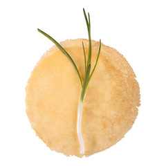 Spring onion on pancake on a white