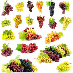 Assortment of ripe sweet grape isolated on white
