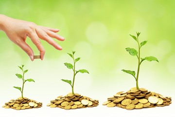 Building business growth with csr and ethics