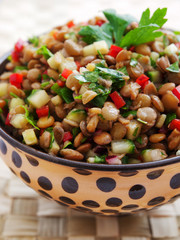 Lentil salad