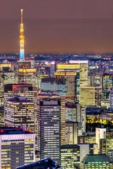 Foto op Plexiglas De horizon van Tokyo, Japan. © Luciano Mortula-LGM