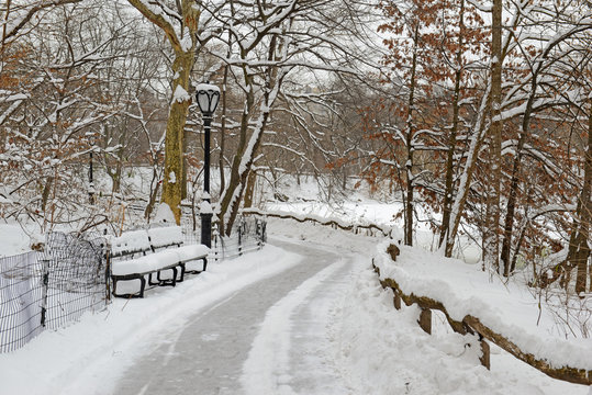 Central Park after snowstorm, Manhattan, New York City
