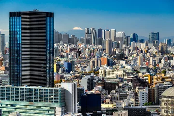 Fotobehang Tokyo skyline,  Japan. © Luciano Mortula-LGM